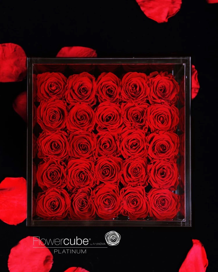 25 Roes FLOWERCUBE PLATINUM - 25 Rose rosse • Fiabesco